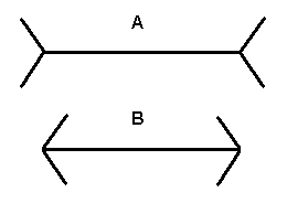 ciekawostka1-11orig